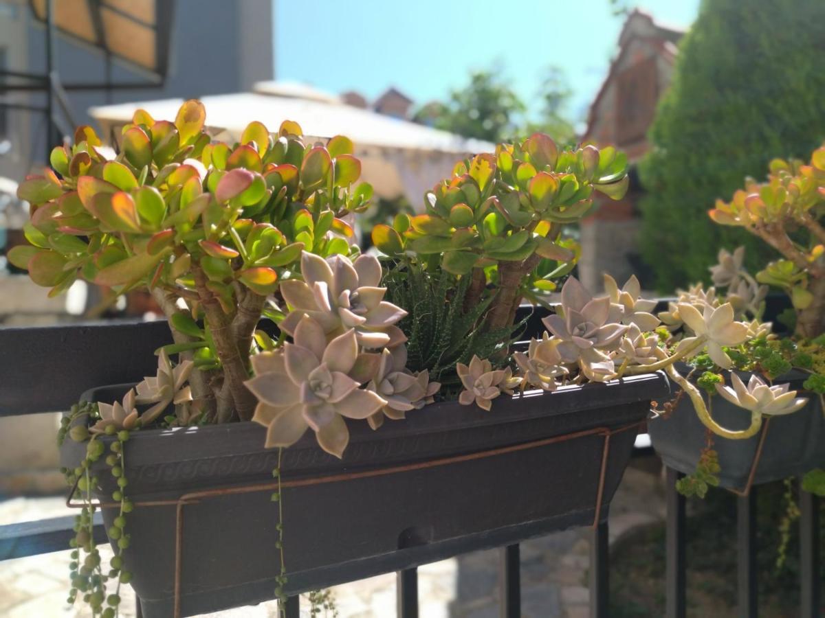The House Apartments & Guest Rooms Ohrid Extérieur photo
